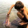 Bolivian river dolphins